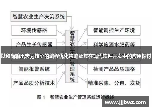 以和尚输出宏为核心的编程优化策略及其在现代软件开发中的应用探讨
